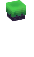 Skinfile