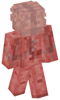 Skinfile
