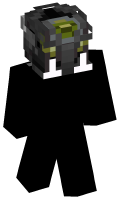 Skinfile