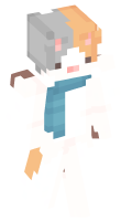 Skinfile
