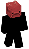 Skinfile