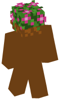 Skinfile