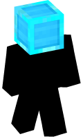 Skinfile