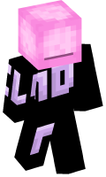 Skinfile
