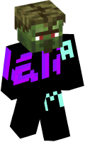 Skinfile
