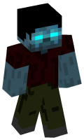 Skinfile