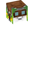 Skinfile