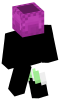 Skinfile
