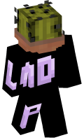 Skinfile