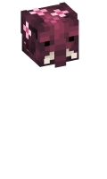 Skinfile
