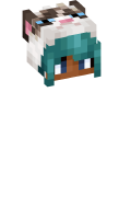 Skinfile