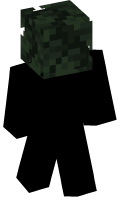 Skinfile