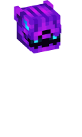Skinfile