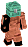 Skinfile