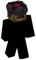 Skinfile