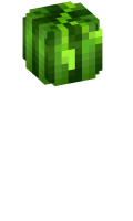 Skinfile