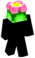 Skinfile