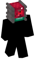 Skinfile