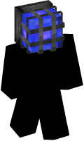 Skinfile
