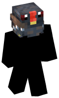 Skinfile