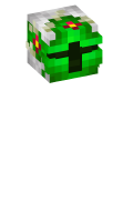 Skinfile