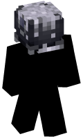 Skinfile