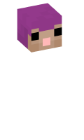 Skinfile