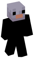Skinfile