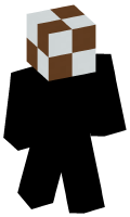 Skinfile