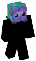 Skinfile