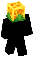 Skinfile