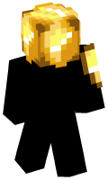 Skinfile