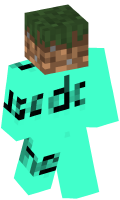 Skinfile