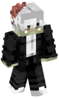 Skinfile