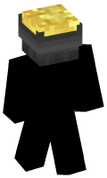 Skinfile