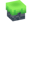 Skinfile