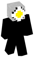 Skinfile