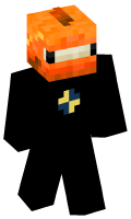 Skinfile