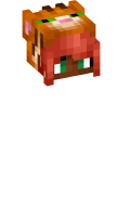 Skinfile