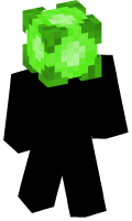 Skinfile