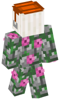 Skinfile