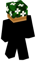Skinfile