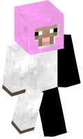 Skinfile