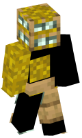 Skinfile