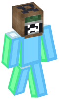 Skinfile