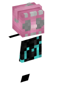 Skinfile