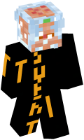 Skinfile