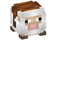 Skinfile