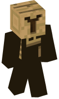 Skinfile