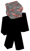 Skinfile